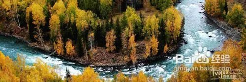 喀纳斯旅游攻略