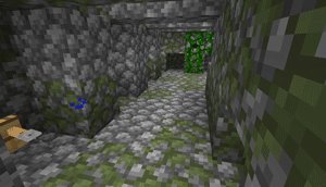 《我的世界》丛林神庙怎么探索 丛林神庙探索路线攻略