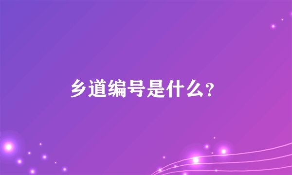 乡道编号是什么？