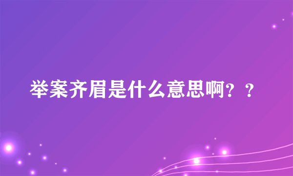 举案齐眉是什么意思啊？？