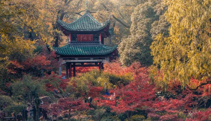 层林尽染的意思