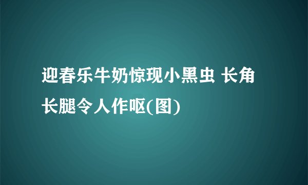 迎春乐牛奶惊现小黑虫 长角长腿令人作呕(图)