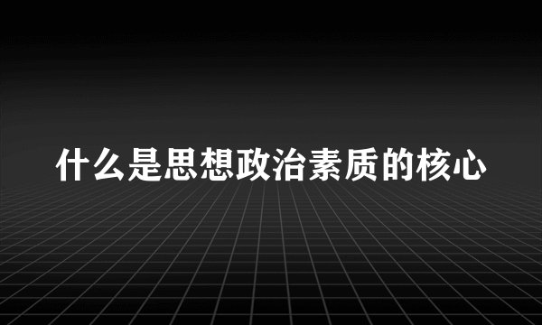 什么是思想政治素质的核心
