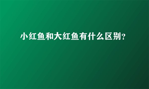 小红鱼和大红鱼有什么区别？