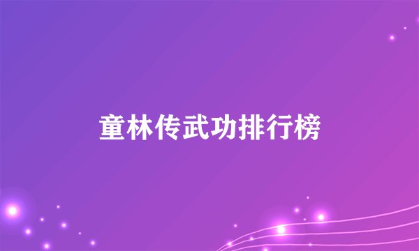 童林传武功排行榜