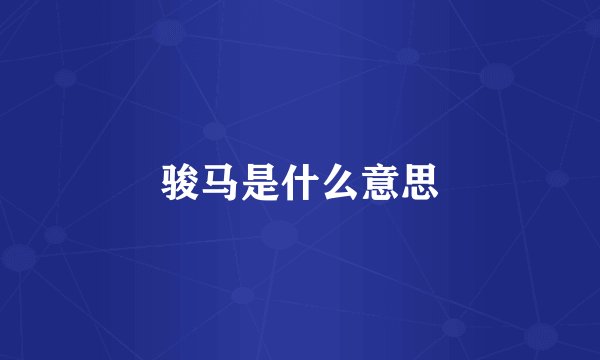 骏马是什么意思