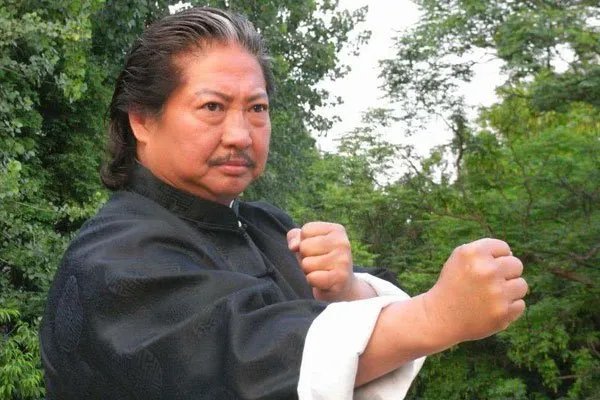 洪金宝老婆高丽虹个人资料 令洪金宝这样死心塌地