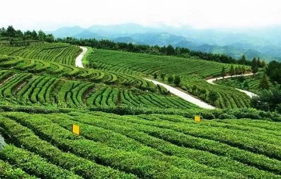 湖北十堰有哪些出名的特产 湖北十堰特产