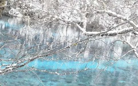 冬季的作文600字