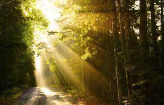 中国十大必看纪录片分别是哪些？好看么？