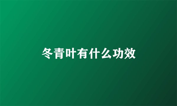 冬青叶有什么功效