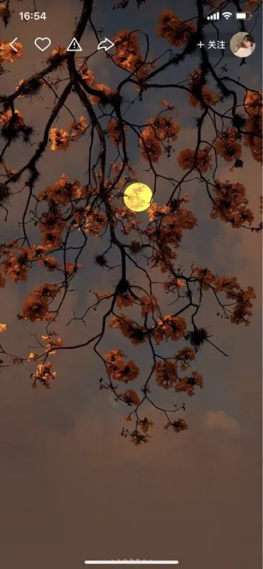 什么是东郭先生