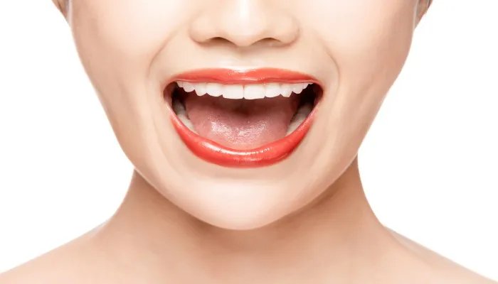 嘴巴的作用 嘴巴的作用是什么