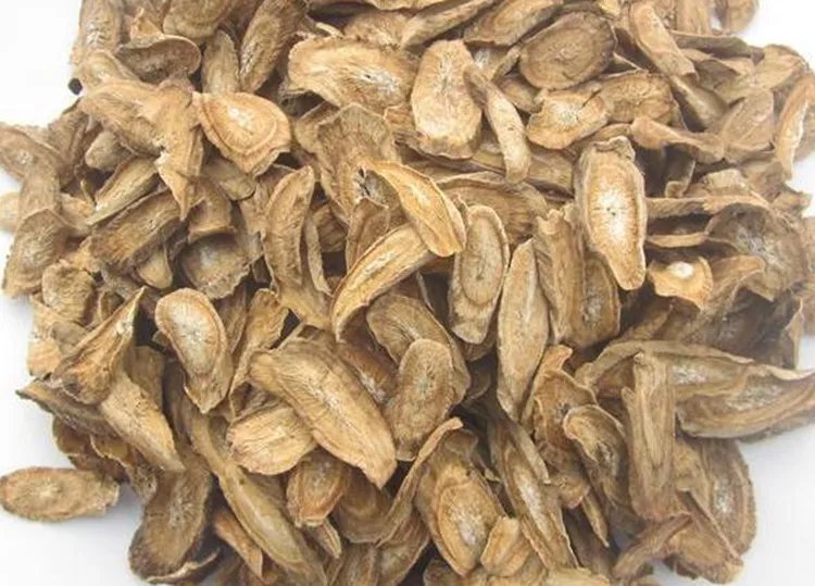 牛蒡根的功效与作用