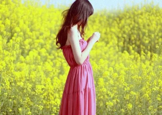 凶猛少帅轻点宠小说完整版 顾轻舟司行霈整本阅读