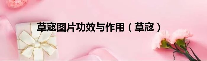 草寇图片功效与作用(草寇)
