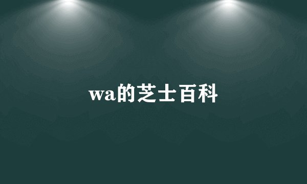 wa的芝士百科