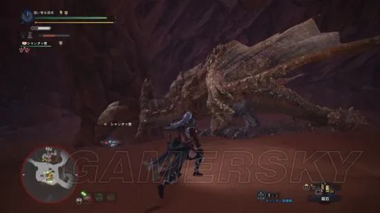 《怪物猎人世界》角龙弱点及打法讲解 角龙怎么打