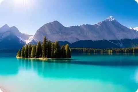 汉八旗和绿营，汉军八旗和绿营军的区别