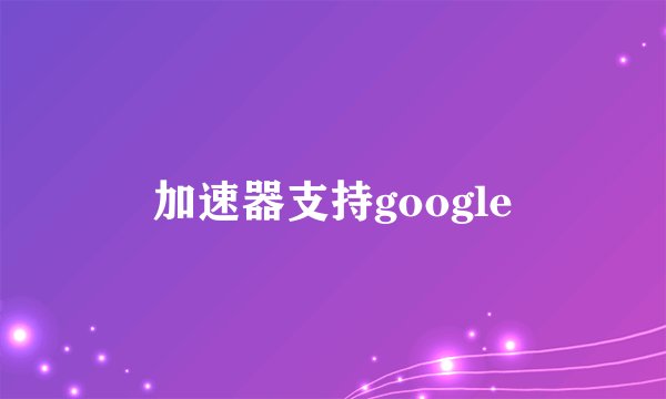 加速器支持google