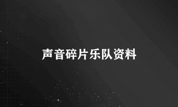 声音碎片乐队资料