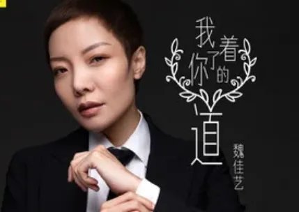 我许下承诺守护你到老是什么歌？