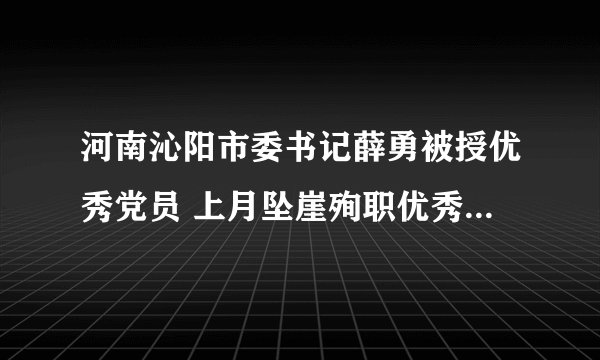 河南沁阳市委书记薛勇被授优秀党员 上月坠崖殉职优秀共产党员薛勇沁阳 