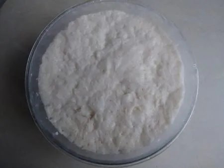 【求】 ACA面包机说明书- “高级面包” 配方