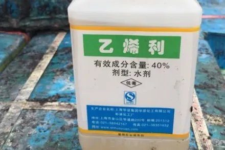 乙烯利的作用与功效分别是？