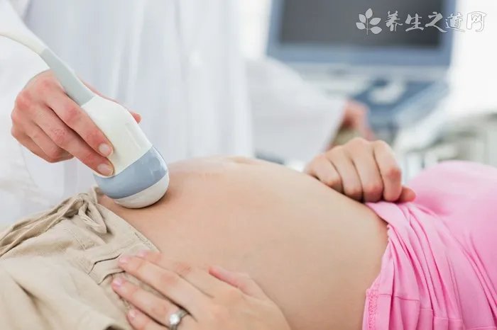 撸猫咪是啥意思