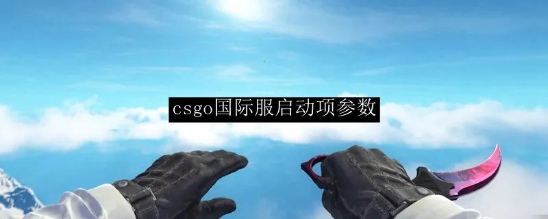 csgo国际服启动项参数