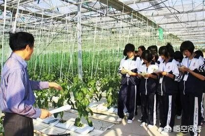 什么是设施农业？