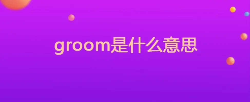 groom是什么意思