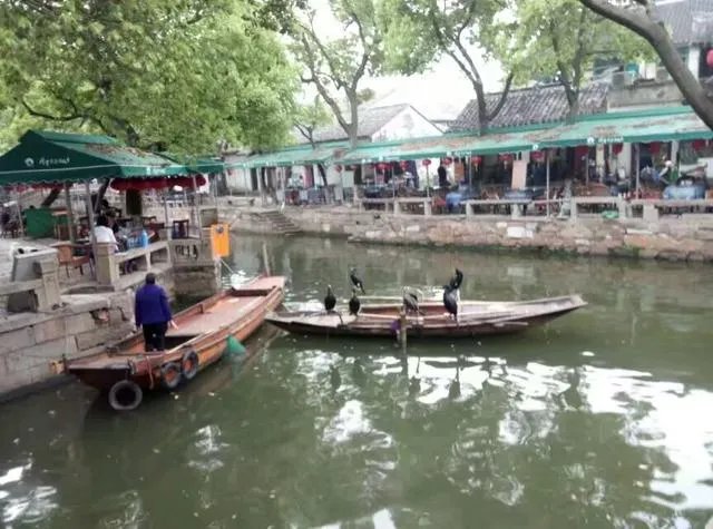 同里古镇好玩么？