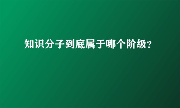 知识分子到底属于哪个阶级？