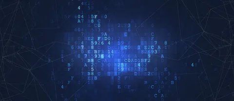 法人身份证明范本照片