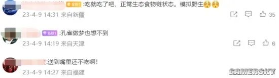 动物园老虎把孔雀吃了 园区回应:有1000多只散养孔雀