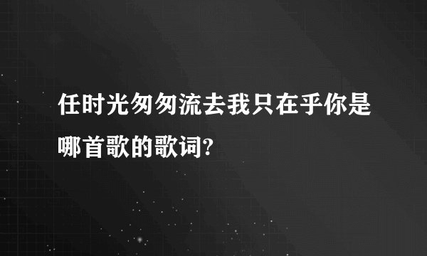 任时光匆匆流去我只在乎你是哪首歌的歌词?