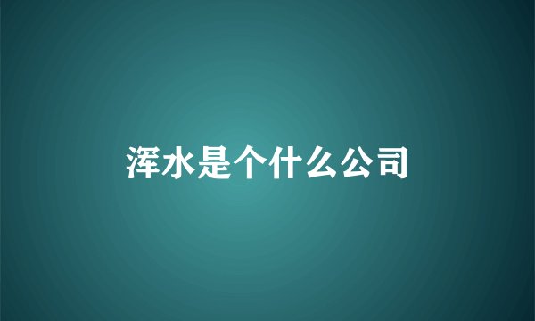 浑水是个什么公司