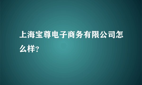 上海宝尊电子商务有限公司怎么样？