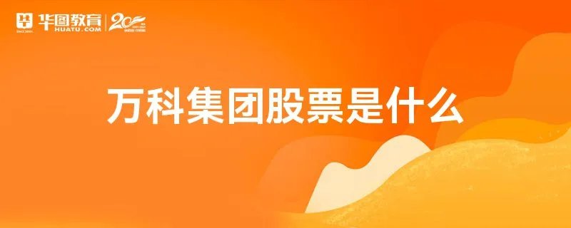 万科集团股票是什么