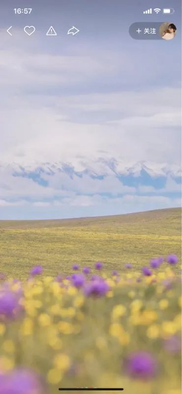 什么是东郭先生