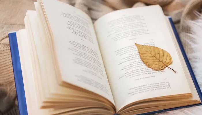 数位顺序表是什么