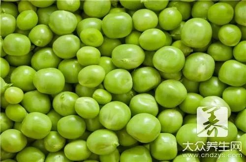 豌豆的营养成分以及价值