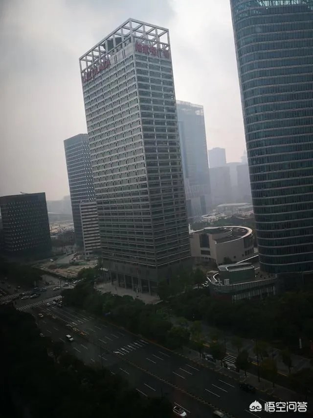 上海纽约大学，怎样？