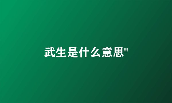 武生是什么意思