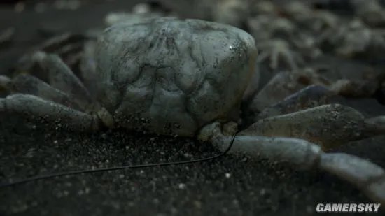 《死亡搁浅（Death Stranding）》专区上线 小岛秀夫归来之作