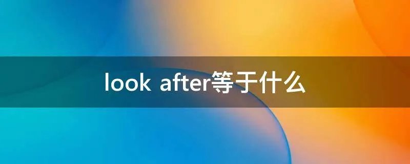 look after等于什么
