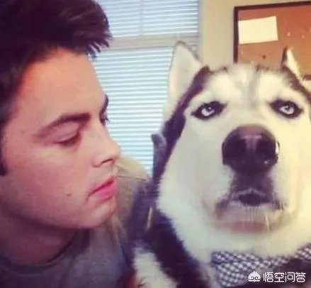 如果把狗狗自己放到陌生环境中