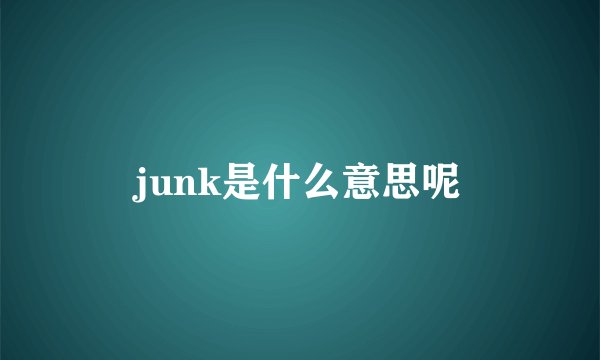 junk是什么意思呢